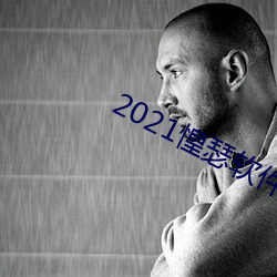 2021惶瑟软件