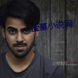 盗墓(墓)小说(說)网