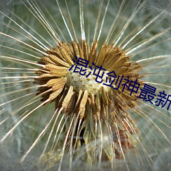 混沌剑神最新章节