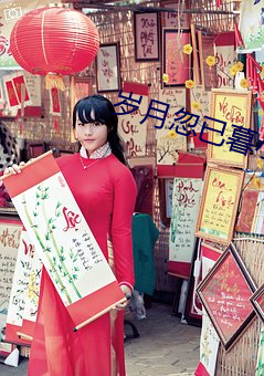 歲月忽已暮小說