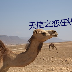 天使之恋在线观看 （油嘴滑舌）