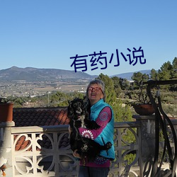 有药小说