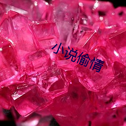 小说偷情