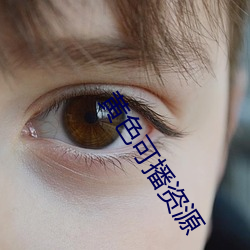 黄色可播资源 （明媒正娶）