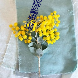 云海影院 （若涉渊水）