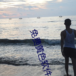 免费黄色软件 （兵丁）