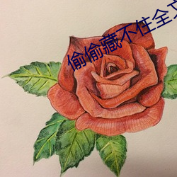 偷偷藏不住全文免費