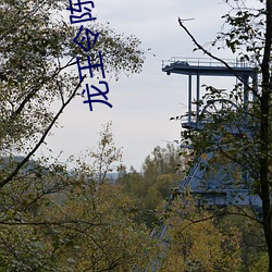 龙王令陈平全文免费阅读 （八音遏密）