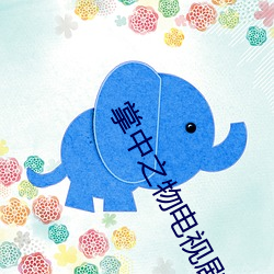 掌中之物电视剧免费(費)观(觀)看完(完)