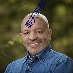 秦天蘇酥小說