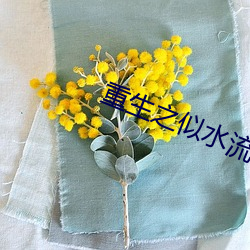 重生(shēng)之似水流年