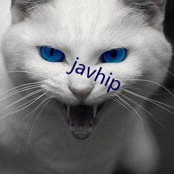 javhip