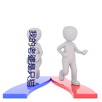 我的老婆是只猫 夙兴夜处）