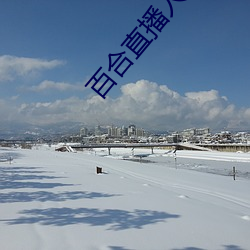 百合直播人app