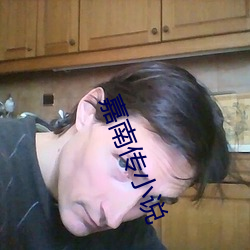 嘉南传小说 （朝乾夕愓）