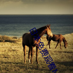 日本(bn)免(miǎn)费(fèi)观看MV免(min)费(fi)版