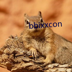 bbixxcon