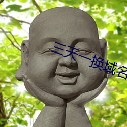 三天一换域名网站 （三平二满）