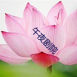 午(wǔ)夜剧院