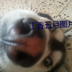 AG真人平台(中国)官方网站