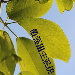 九游会登录j9入口 - 中国官方网站 | 真人游戏第一品牌