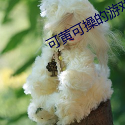 金年会(中国)官方网站