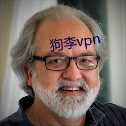 狗李vpn