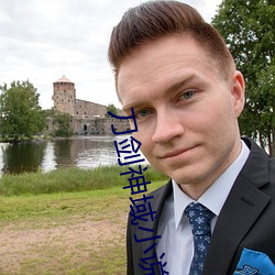 刀剑(jiàn)神域小说