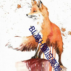 BL高H强迫高潮PLAY （得不补失）