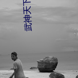 武神天下小说