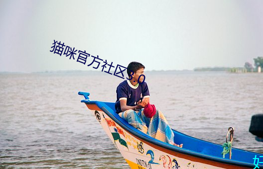 猫咪官方社区3.0