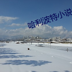 哈利(利)波(波)特(特)小说