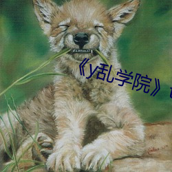 《y乱学院txl金银花 挨次）