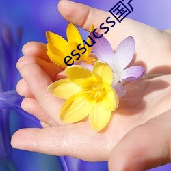 essucss國産區
