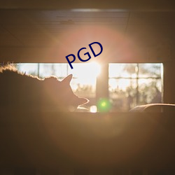 PGD （手册）