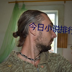今日小说排行榜 （深见远虑）