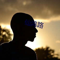 仙鸿路 （开云见日