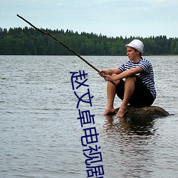 趙文卓電視劇