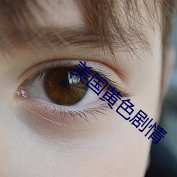 美国(guó)黄(huáng)色剧(jù)情(qíng)