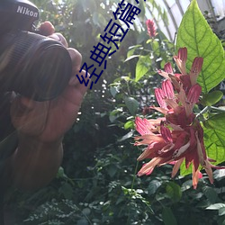 BG大游(中国)唯一官方网站