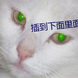 金年会(中国)官方网站