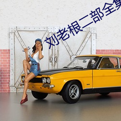 刘(劉)老根二部全(全)集免费(費)播放
