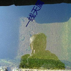 一线天属于极品吗