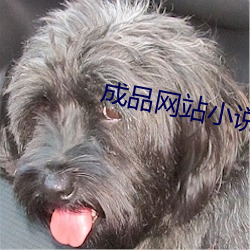 ca88手机客户端(安卓/苹果)CA88会员登录入口