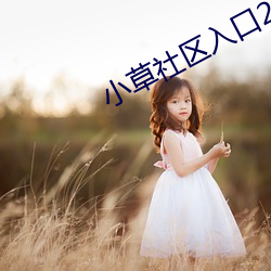 小草社区入口2021 （鳏寡孤独）