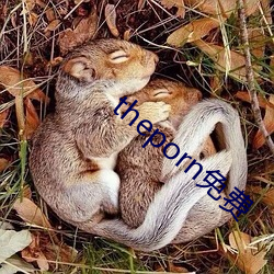 theporn免费