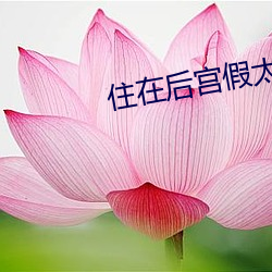 住在後宮假太