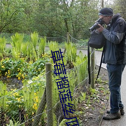 草莓榴蓮絲瓜向日葵綠巨人