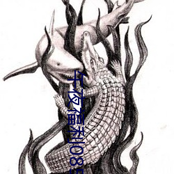 午夜福利08550