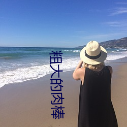 粗大的肉棒
